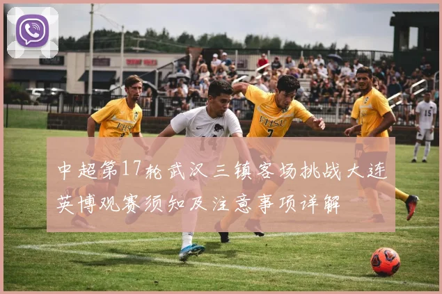 中超第17轮武汉三镇客场挑战大连英博观赛须知及注意事项详解