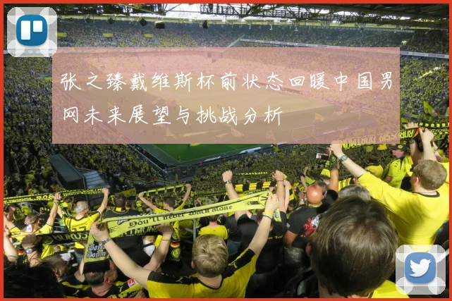 张之臻戴维斯杯前状态回暖中国男网未来展望与挑战分析