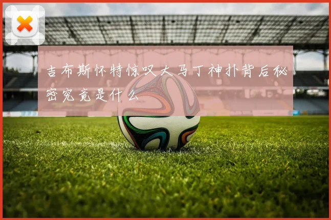 吉布斯怀特惊叹大马丁神扑背后秘密究竟是什么